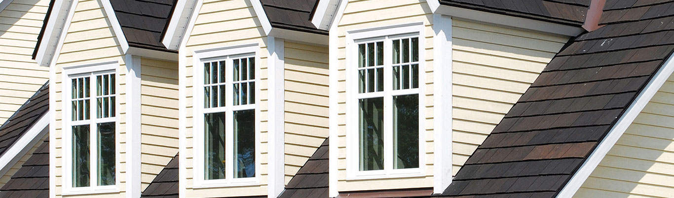 Windows and Siding Services