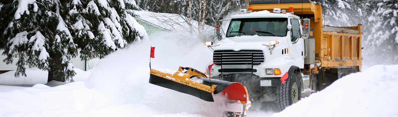 Snow and Ice Dam Removal Services